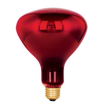 Lámpara incandescente de calor, BR40 270 W, rojo