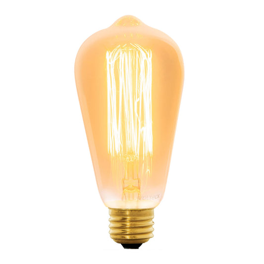 Lámpara incandescente vintage tipo Edison 40 W