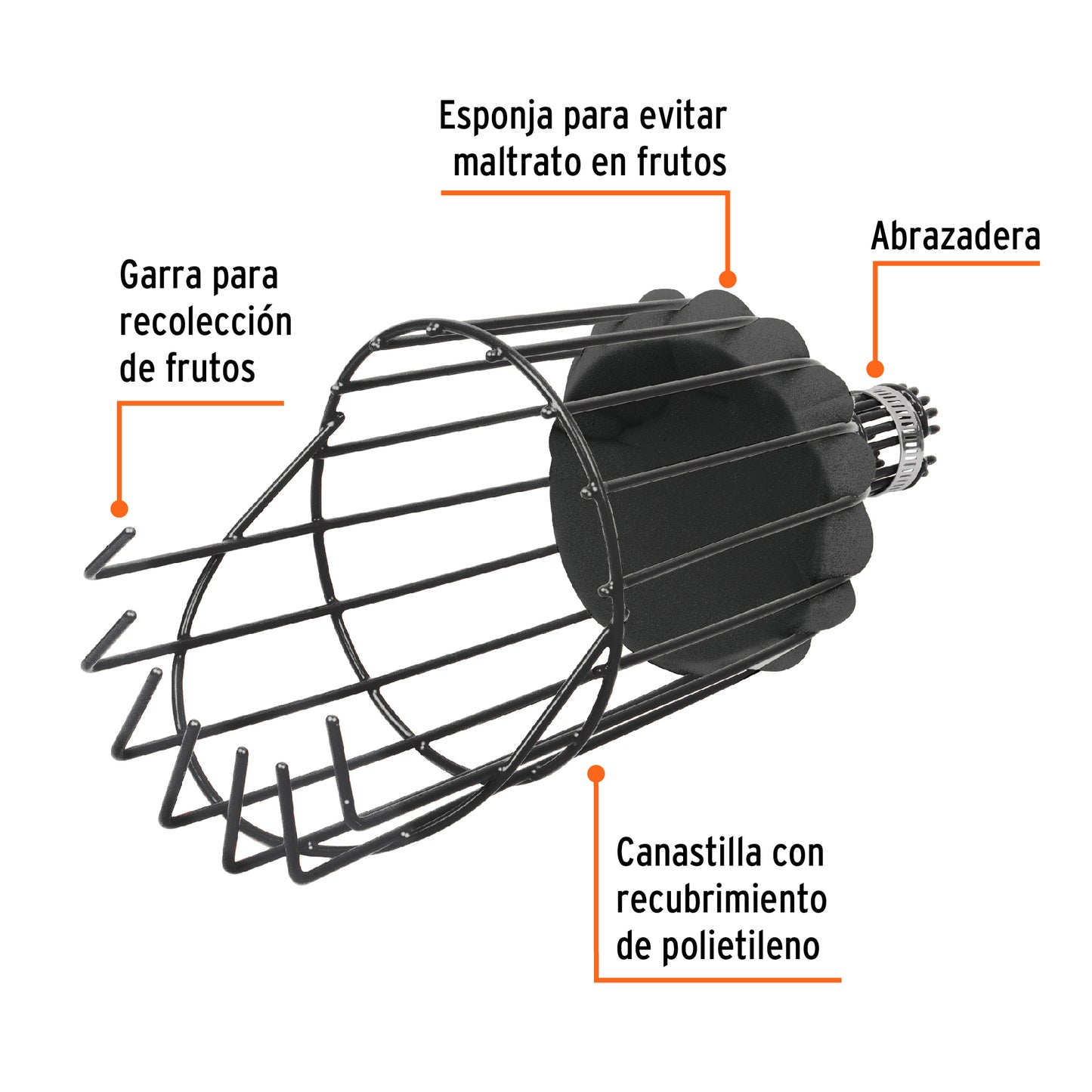 Recolector de fruta, sin mango